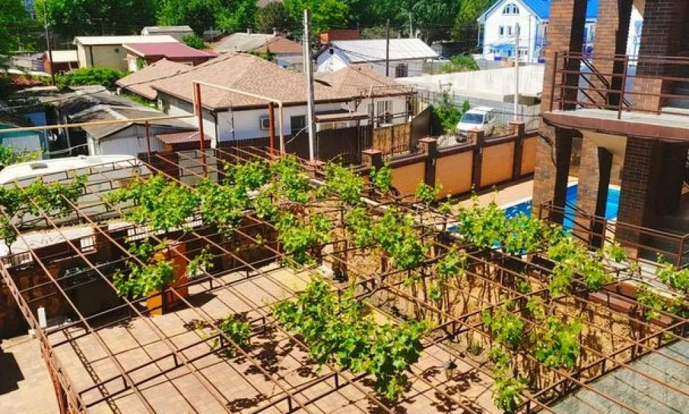 Фото территории отеля 6